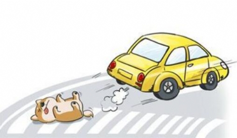 宠物狗被撞死 主人伤心欲绝能否要精神赔偿?