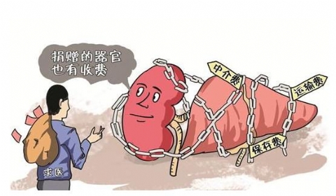 死者肝肾被假捐献 盗窃侮辱尸体罪怎么判刑？