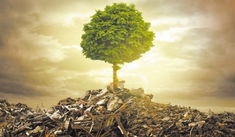 2019年中华人民共和国环境保护税法最新全文【施行版】