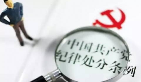 保时捷女车主丈夫被免职 党员违纪的立案标准是什么？