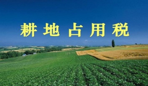 2019年中华人民共和国耕地占用税法全文【施行版】