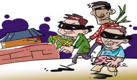 2018年夫妻抓娃娃走火入魔被抓 盗窃罪如何处罚?